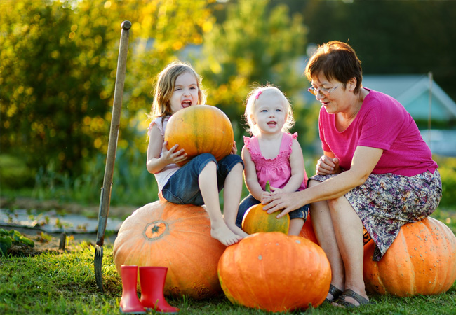 Understanding Herniated Discs